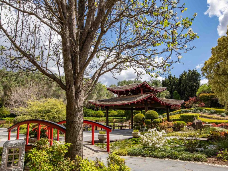 The scenic Oriental Garden section of the Hunter Valley Gardens, Pokolbin during Spring